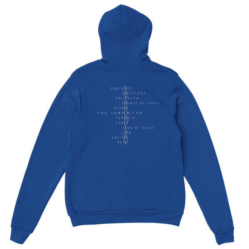 EXTRAORDINARY - Classic Unisex Pullover Hoodie