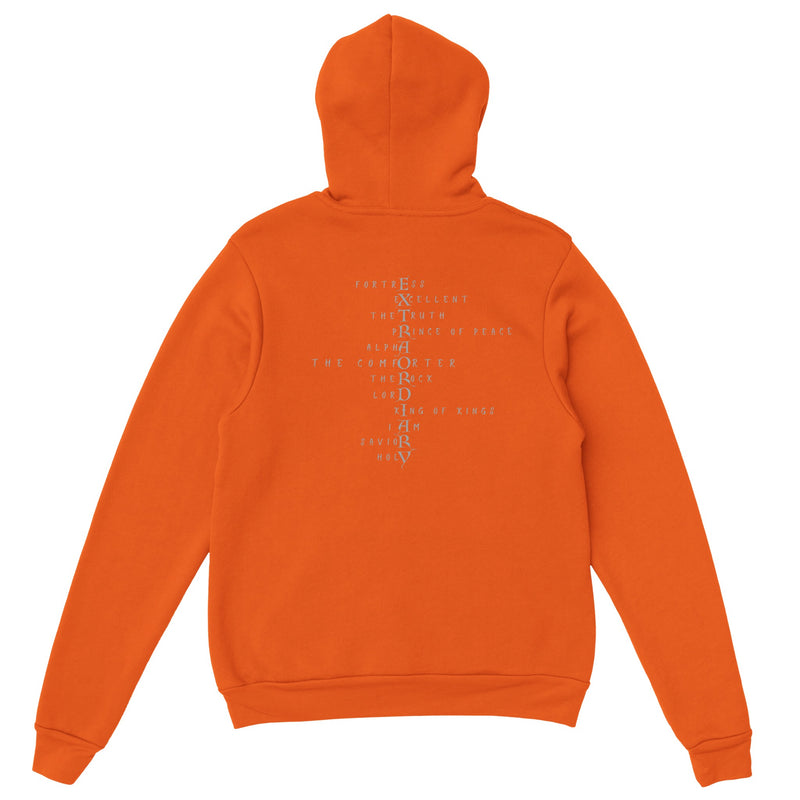 EXTRAORDINARY - Classic Unisex Pullover Hoodie