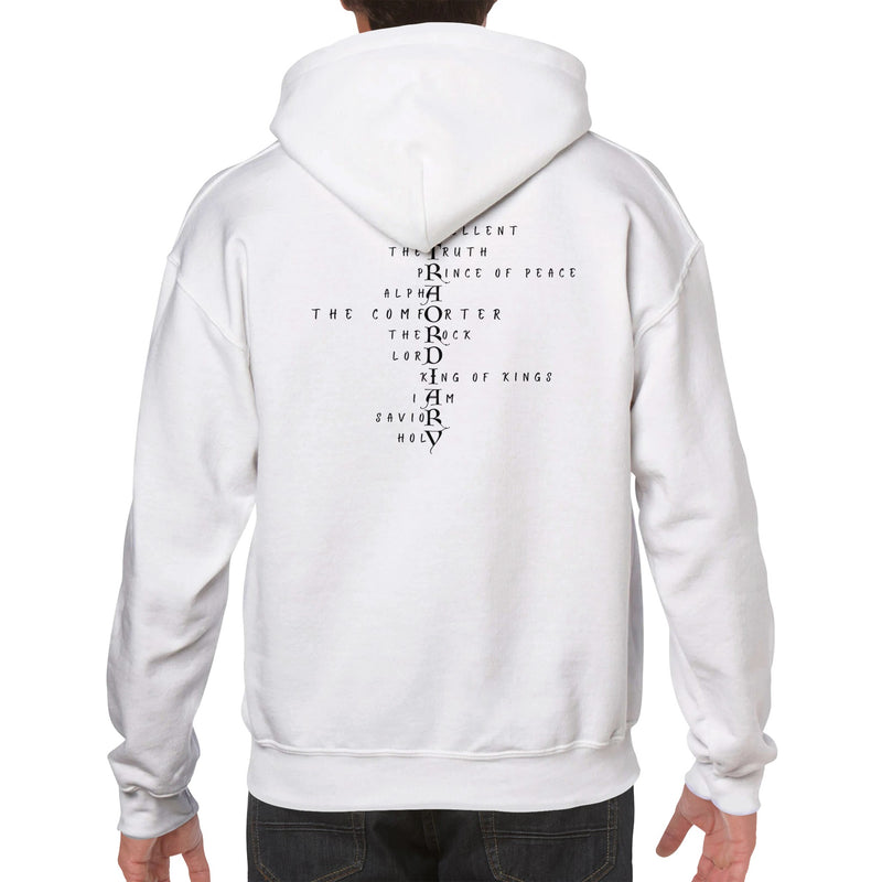 EXTRAORDINARY (CCS) - Classic Unisex Pullover Hoodie