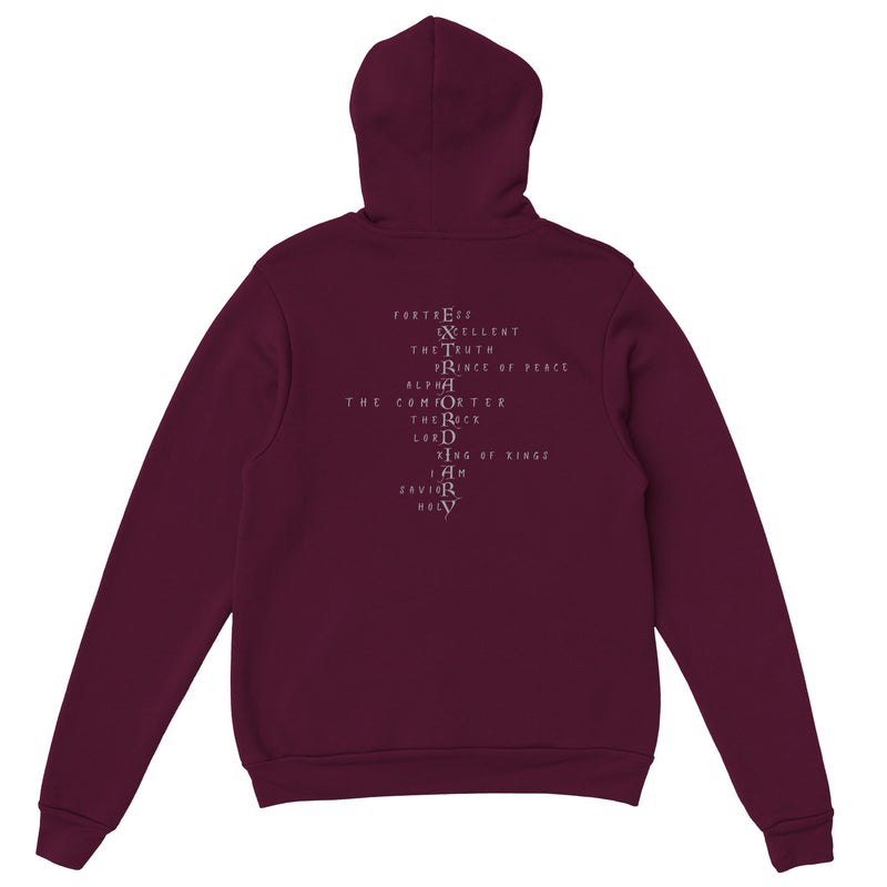 EXTRAORDINARY - Classic Unisex Pullover Hoodie