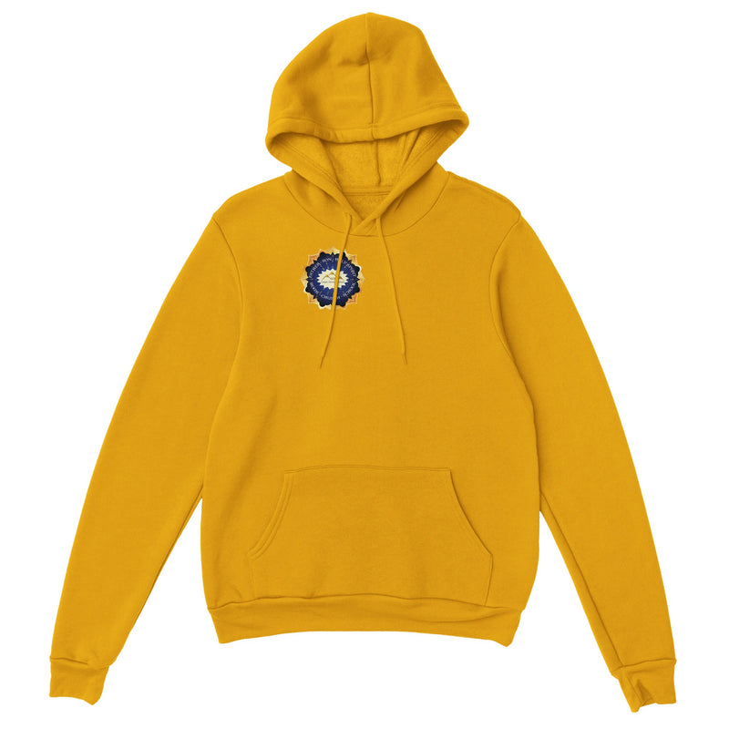 EXTRAORDINARY (CCS) - Classic Unisex Pullover Hoodie